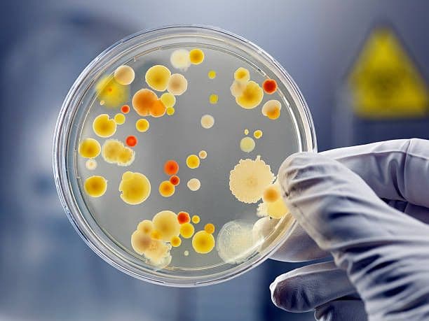 Microbiology
